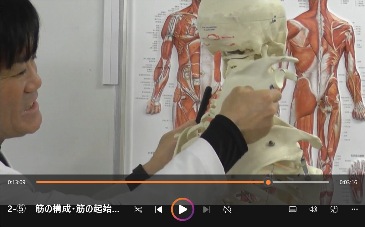 ダウンロードして頂いたテキストを使用しながら、『骨学』、『筋学』を学んで頂けます！