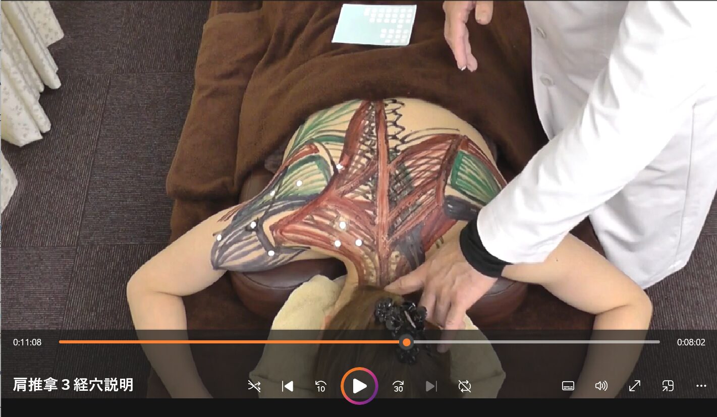 頸や肩へのアプローチ法が学べる！ 体表解剖による、骨解剖、筋解剖、経穴説明がとにかく分かりやすい！