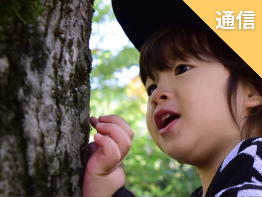 木育検定・資格取得　NPO法人木育フォーラム　